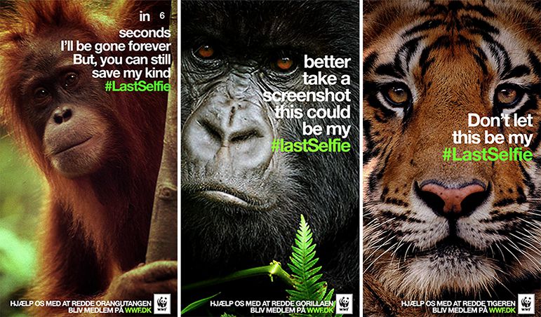 GrowthHackers's tweet image. 10 best #social media campaigns you haven't tried yet growthhackers.com/articles/10-be…