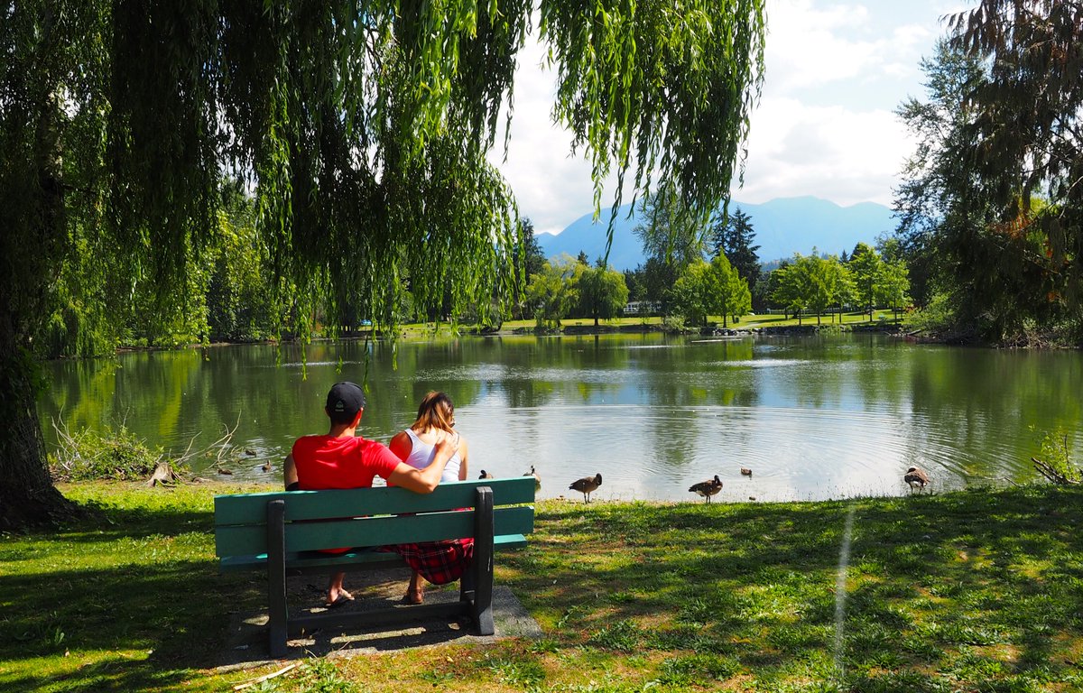 kennuck's tweet photo. #ShareChilliwack #Greatoutside #Chilliwack Sardis Park this afternoon. https://t.co/S0ww5dBFc7