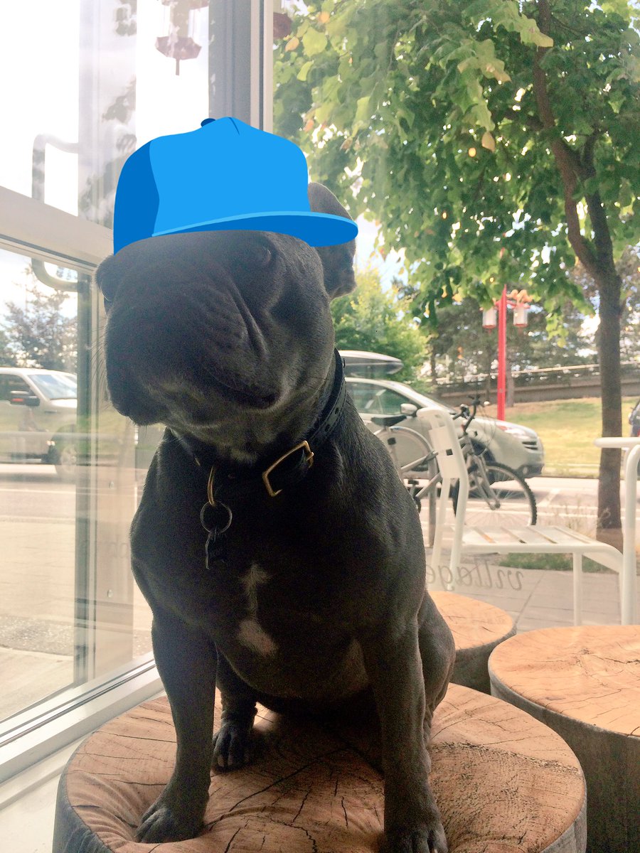 csoldfield's tweet photo. Weather forecast in #Vancouver is sunny for the next 5 minutes. #monkeyyvr #yvr https://t.co/2E7SrIL9gF
