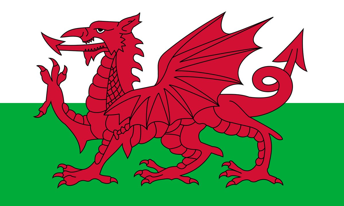 Cali_Rouse's tweet photo. Game time!!!! #EURO2016 #Wales #WalesVsPortugal https://t.co/71VHsiamTV