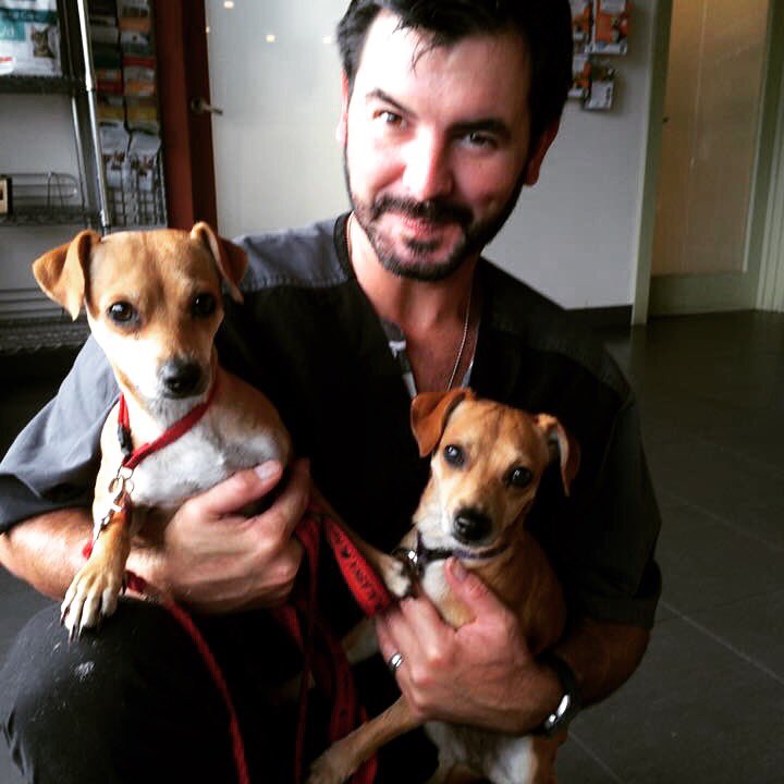 HIDogFoundation's tweet photo. They sleep together, eat together and play together. Why not get spayed together! #FeatherandFur #SpayandNeuter https://t.co/Nwc9k7wVk8