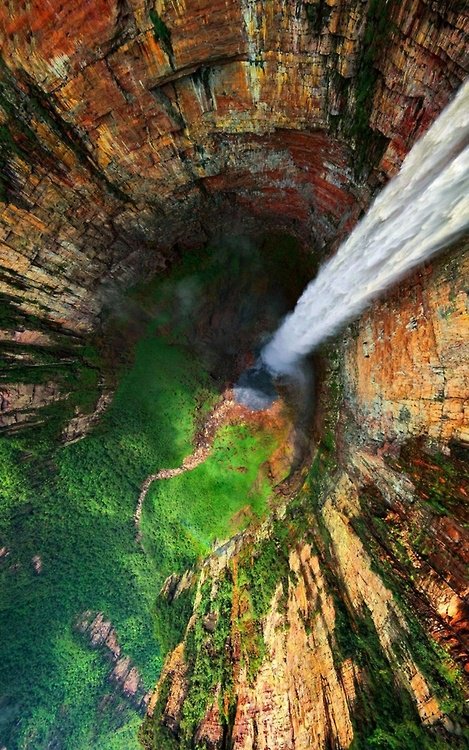earth tweet picture