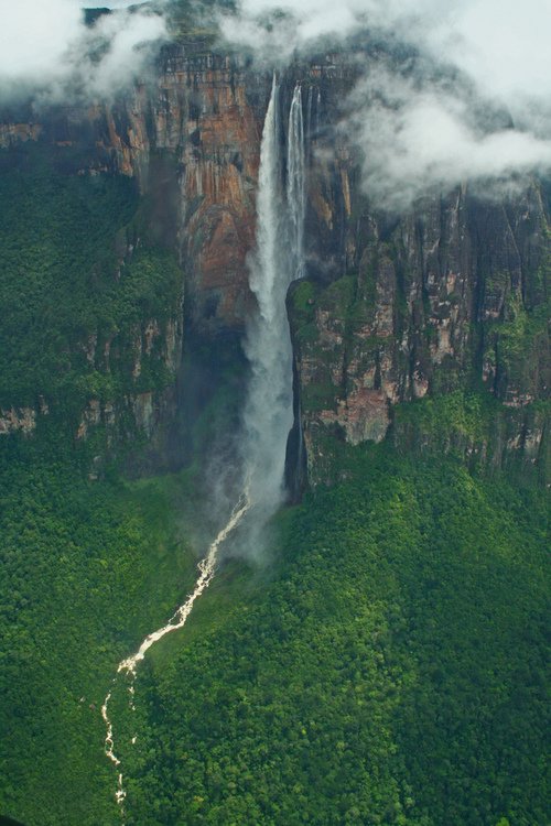 earth tweet picture