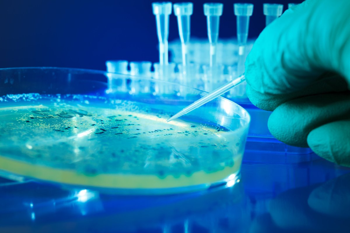 HarvardHealth's tweet photo. Antibiotic resistance is real &amp; there are multiple factors that are speeding up the process: https://t.co/L0tA89VHdA https://t.co/vP5Kl8Aezd