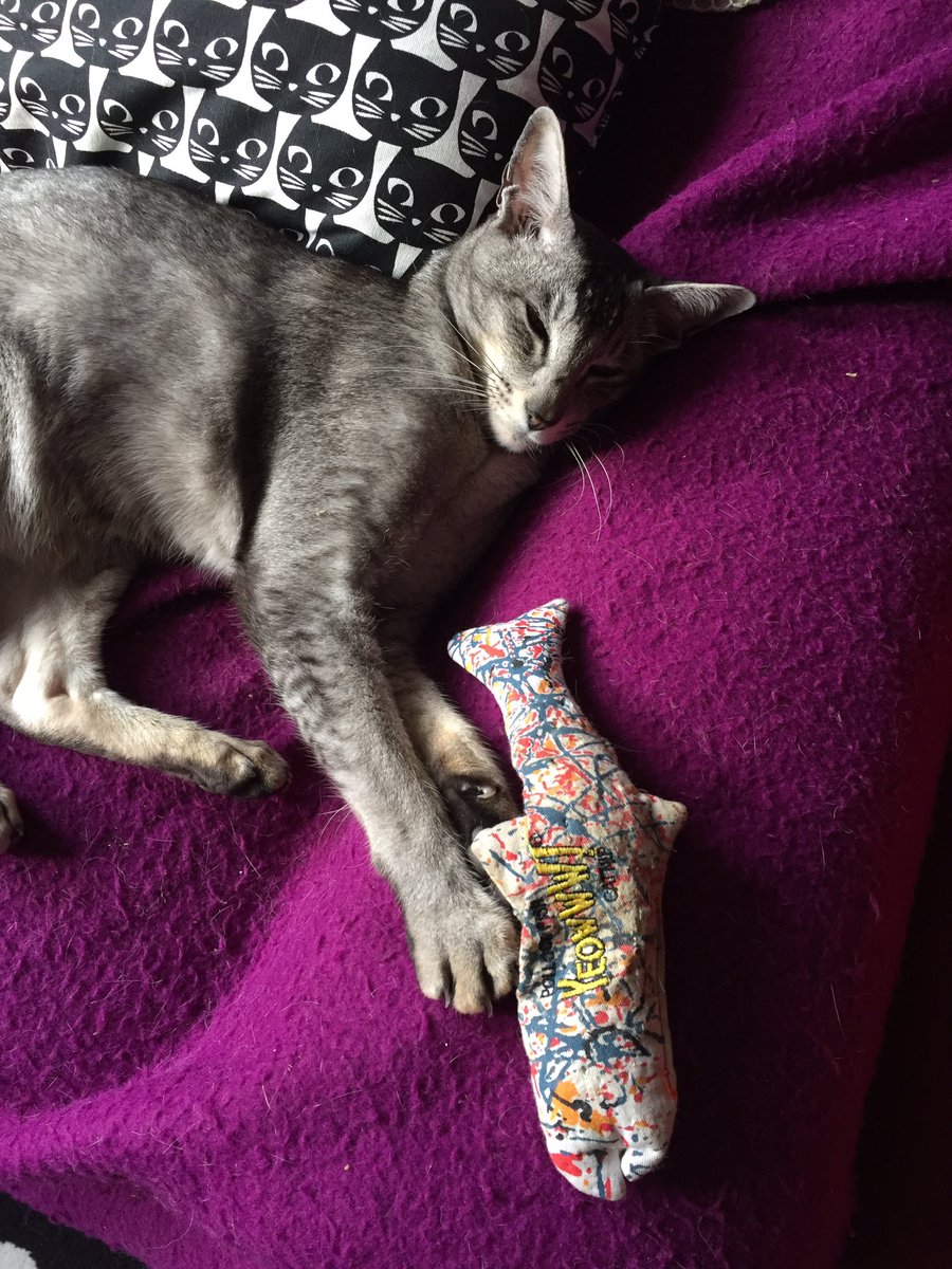mrmokeycat's tweet photo. Uh oh, there is a catnip seam breach. #catnipoverload #catnip #spacedout https://t.co/SYb1z7iIz1