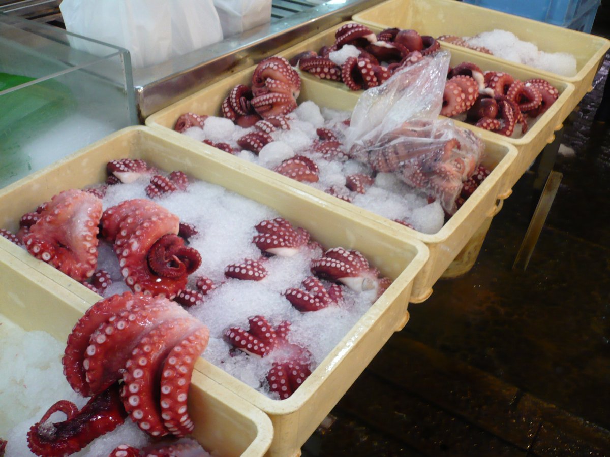 eatnspain's tweet photo. Have you ever tried Octopus? We love it in #northernspain Boiled with potatoes olive oil and paprika #fromseatotable https://t.co/K5ook8Ba8y