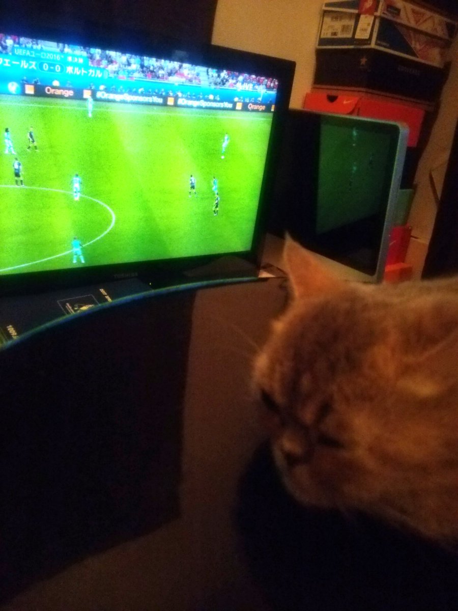 ポルトガルvsウェールズ Twitter Search