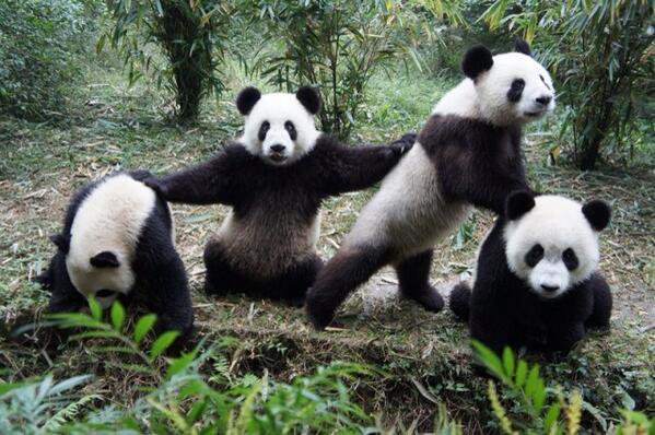 SpeakComedy's tweet photo. Me and my friends posing for an Instagram picture. https://t.co/OsRagjO5SF