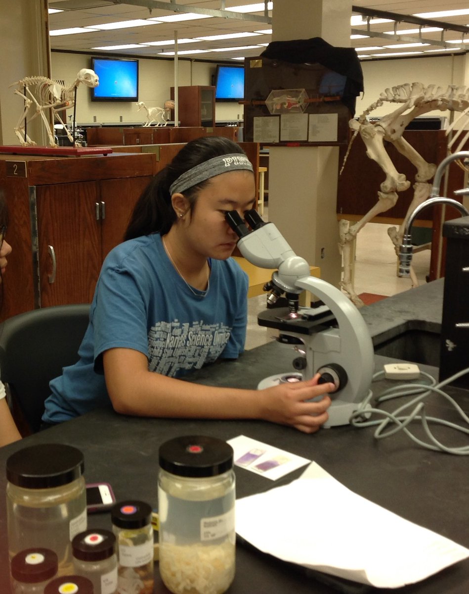c_stem's tweet photo. Vet Med is a favorite summer STEM class for grades 5 - 6 always co-taught with an instructor from KSU.#383STEM https://t.co/vdnZTVkDCr