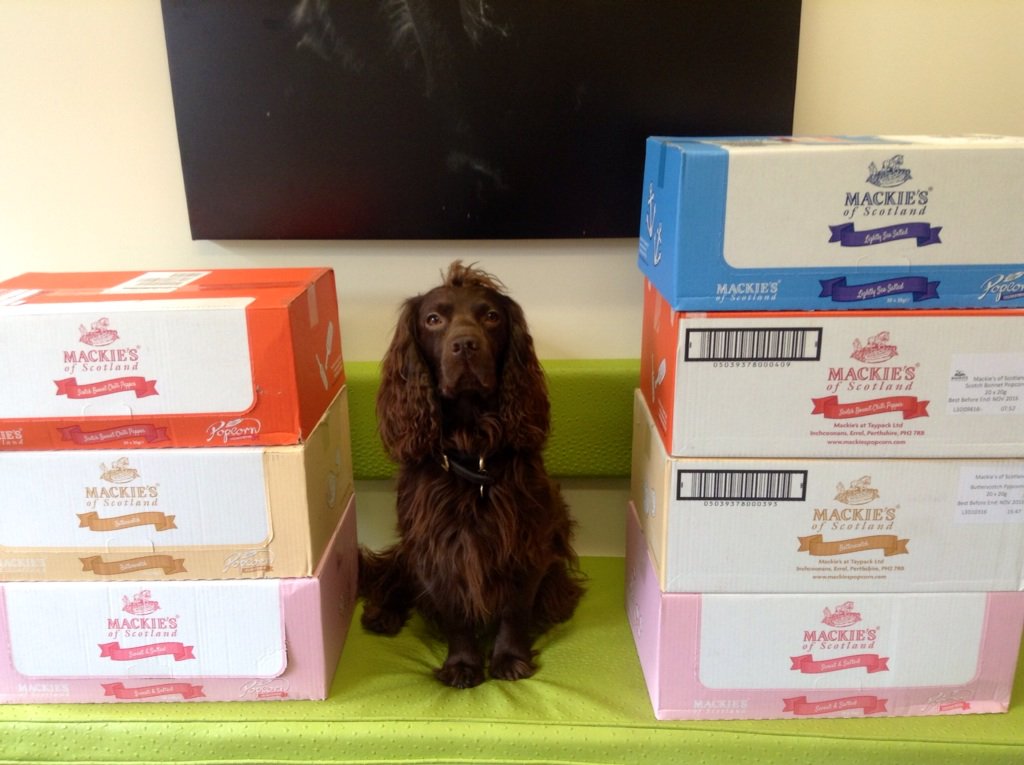 Nestival_INTRNL's tweet photo. Fantastic delivery 2day @mackies_crisps #nestfillers #friendsofnestival #littlepopsofperfection https://t.co/FzVi9Tk7gN