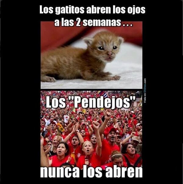 torresatena's tweet photo. #FelizMiercoles no ahí peor ciego q el q no quiere ver , la realidad de su país 
X un fanatismo suicida irracional https://t.co/PKzyKLiGT0