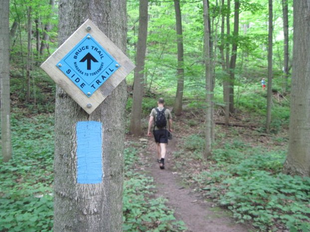 Visit_Niagara's tweet photo. Lace up those boots & set off on Canada’s oldest and longest trail #BruceTrail #Claimthe8th https://t.co/gUDWUzQktt https://t.co/2umQ73y502
