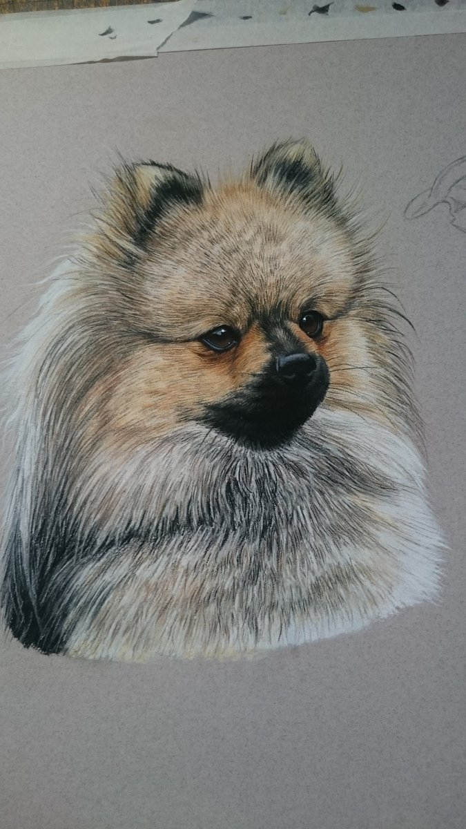 artistlindsay's tweet image. What do think @DaleyFish.