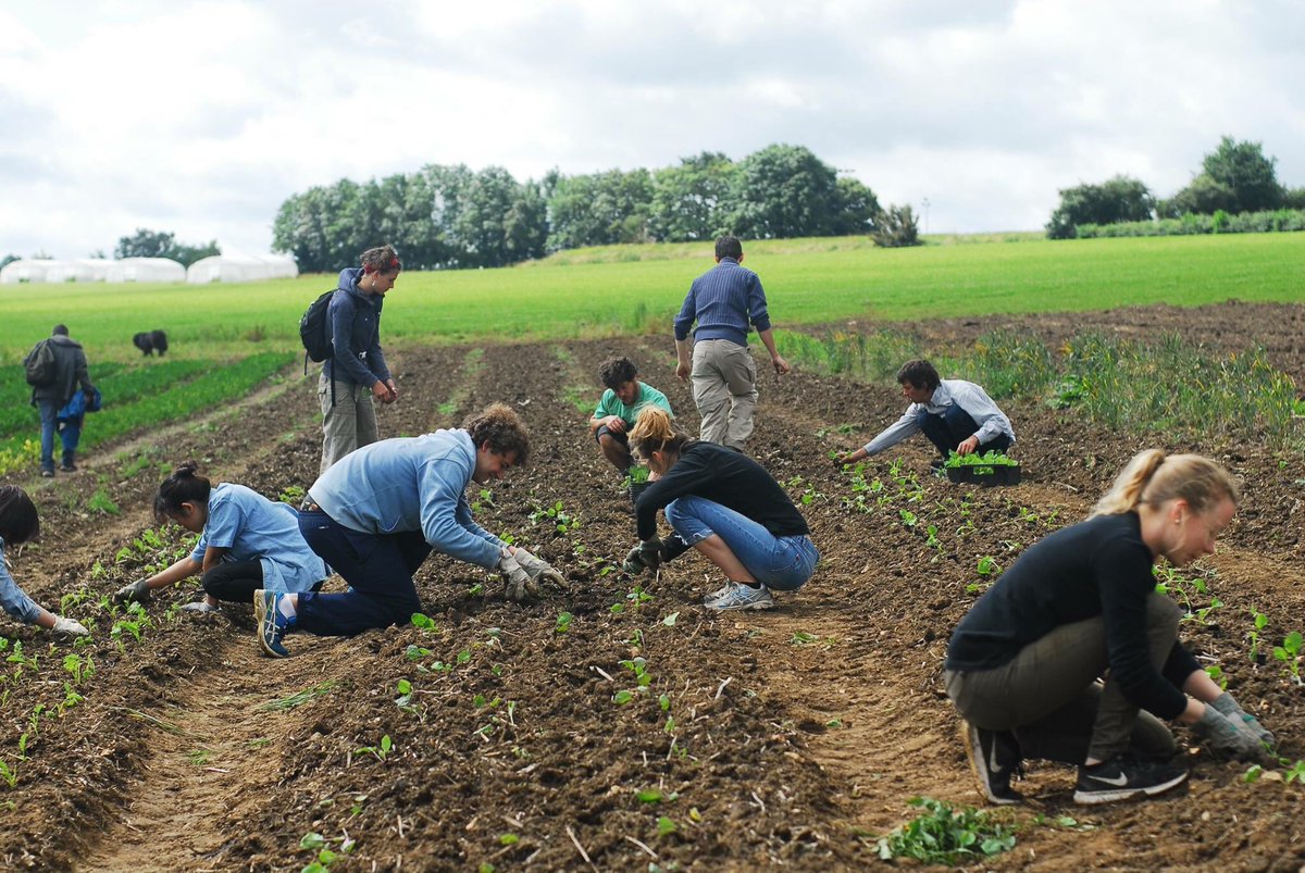 compagnonsterre's tweet photo. Rdv 9h30 Jeudi et vendredi #cortils #mortier pour #chantier #collectif #agroécologie #Liege #Belgique https://t.co/Yc4Js9Ee7G