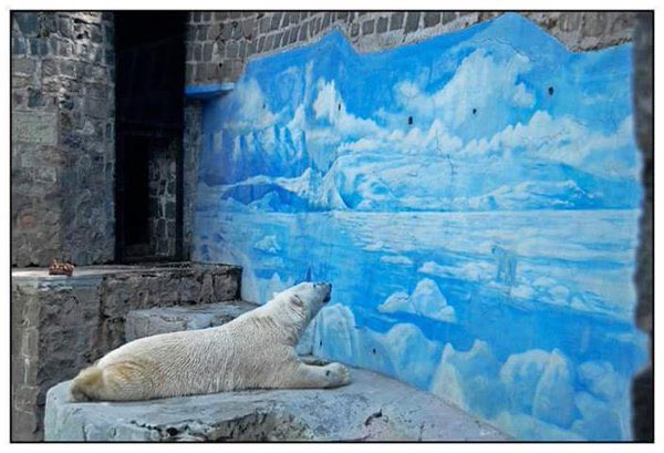 _Madeje's tweet photo. #Arturo https://t.co/Uho5mRh3Vx