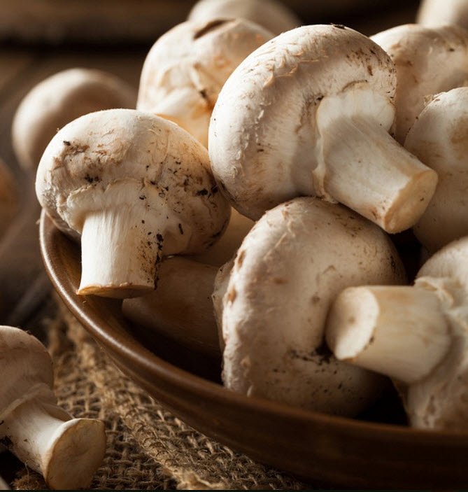 anticancerclub's tweet photo. White buttons mushrooms play a critical role in those with #breastcancer, 'Eat Your Buttons" ~Harriet Sugar-Miller https://t.co/lvjb9pg73x