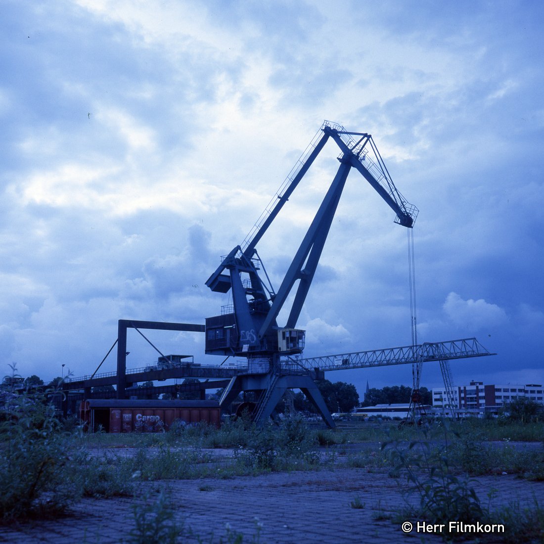 Herr_Filmkorn's tweet photo. Kran Deutzer Hafen Zeiss-Ikon Ikoflex IIa mit #Kodak #64T #expired / #E6 #koeln #cologne #believeinfilm #120 #6x6 https://t.co/IOm3jwBrny