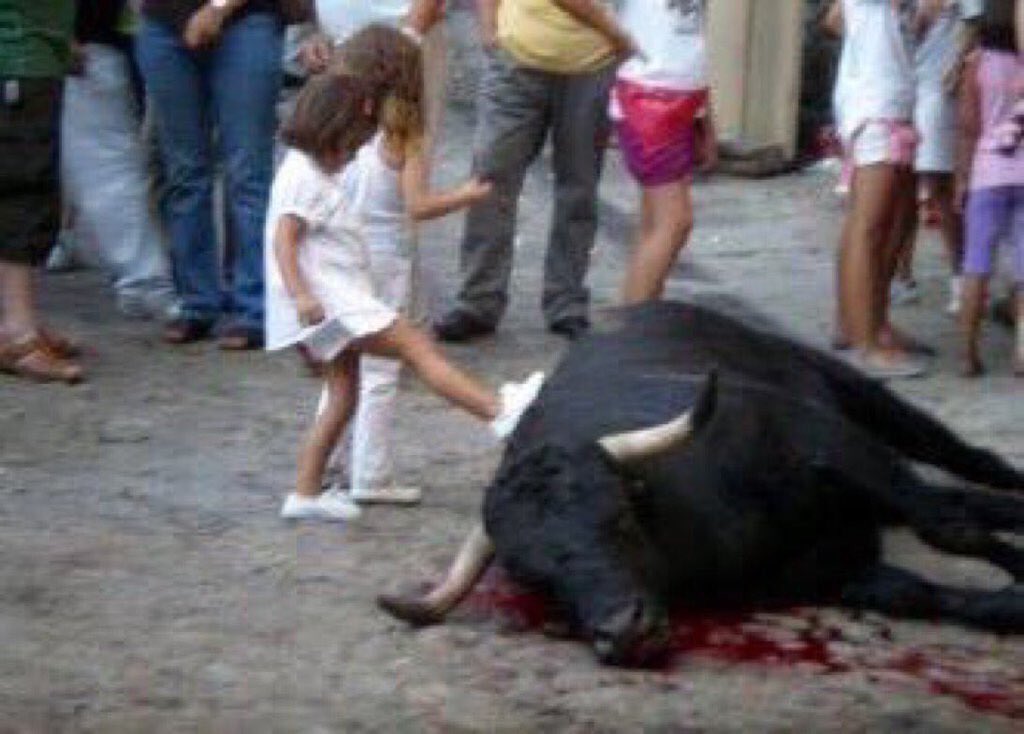 ¡MENUDO EJEMPLO!
¿Ésta es la educación que quieres para tus hijos?
TORTURA NO es ARTE ni CULTURA #NoAlMaltratoAnimal