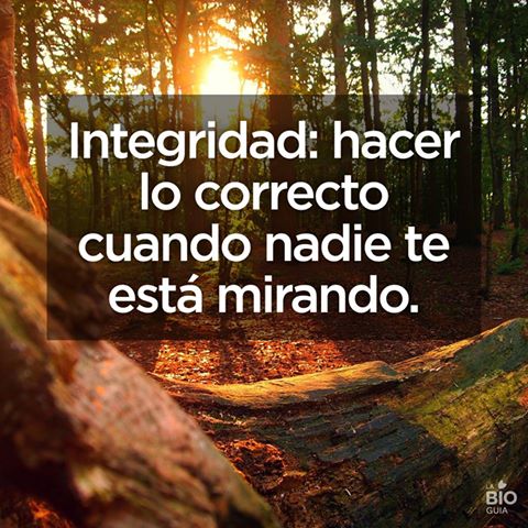turca_ale's tweet photo. https://t.co/NgizQRxD5u