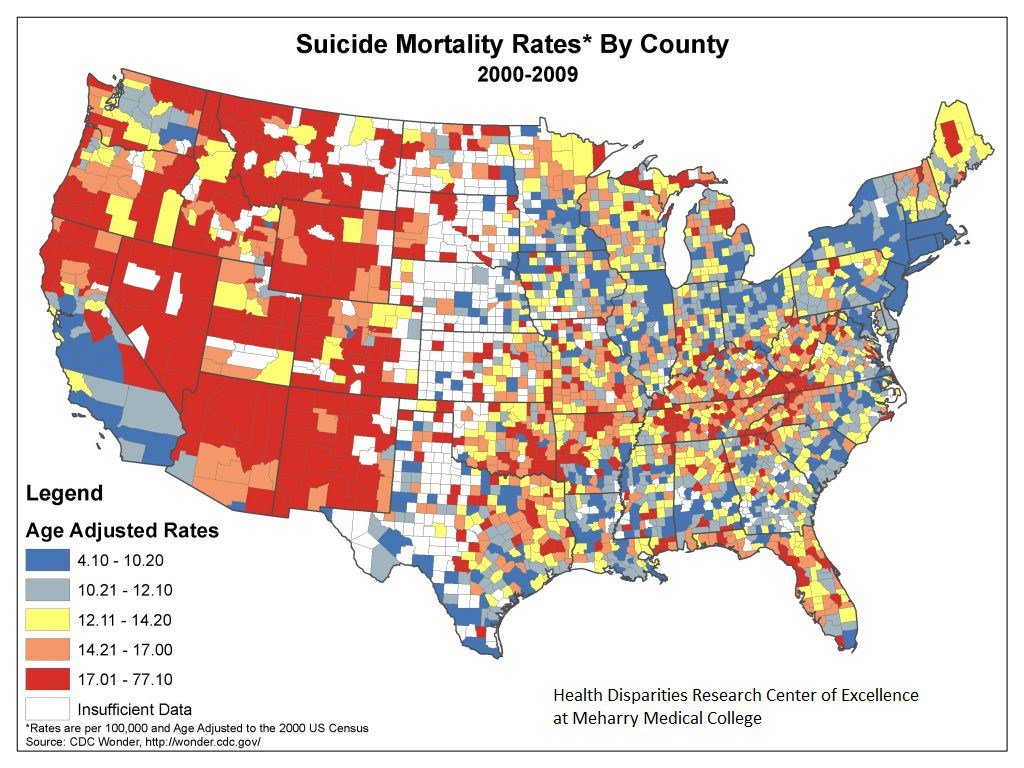communitymap's tweet image. Suicide Mortality Rates by County 2000-2009 healthmap.wordpress.com/2016/07/06/sui…