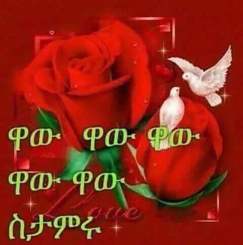 MemeAbebe's tweet photo. @IQuPZlgZXnRglAq https://t.co/fDlNRYfQD5