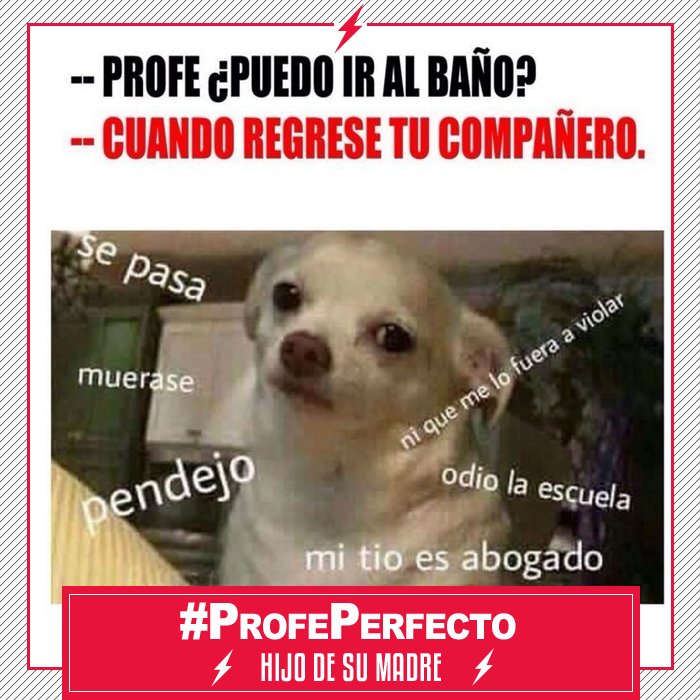 Studio92's tweet photo. #ProfePerfecto
Hijo de su Madre con @BrunoAscenzo
En vivo! 🔴 https://t.co/2tomQRxGTQ https://t.co/xAlnTz3JfG