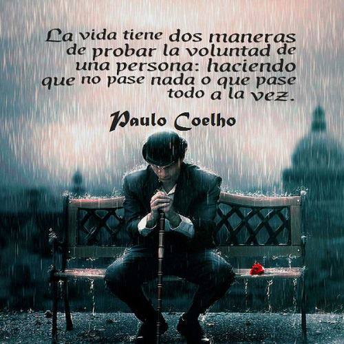 turca_ale's tweet photo. https://t.co/aPkAXYVBBF