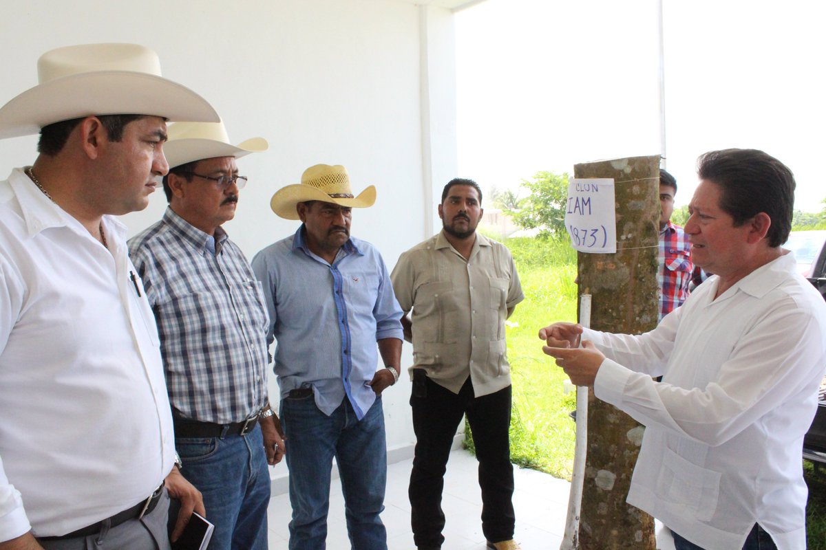 ChavaFarias1's tweet photo. Presidimos la sesión de consejo municipal de desarrollo rural acompañado de @alberto_uc_hdz @jaimemunozmor https://t.co/FKPwgVlLoL