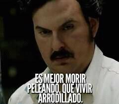 CarpFernando95's tweet photo. De una #elpatron https://t.co/mXK7ufYlaW