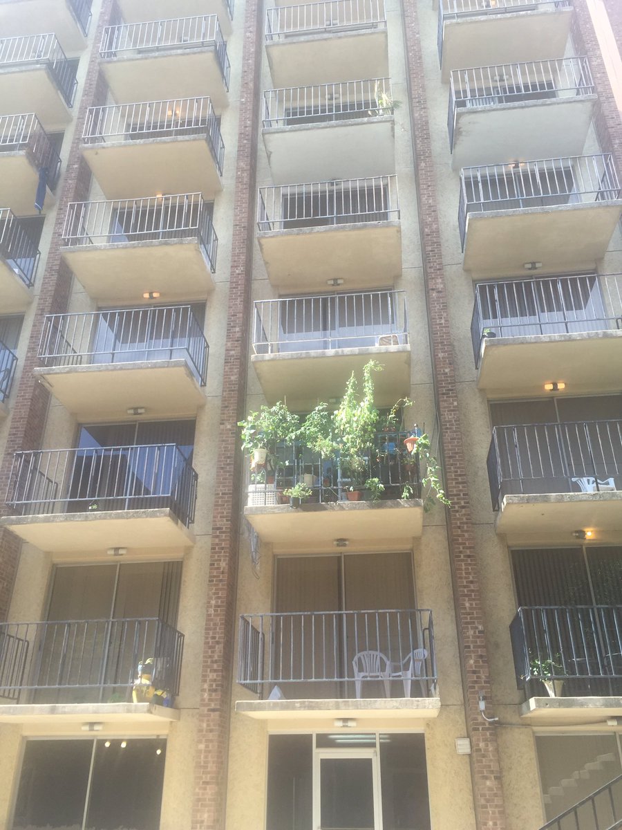 Dinaholigist's tweet photo. The garden #Rhyane https://t.co/7xHHPojQ6f