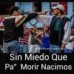 CarpFernando95's tweet photo. De una #elpatron https://t.co/mXK7ufYlaW