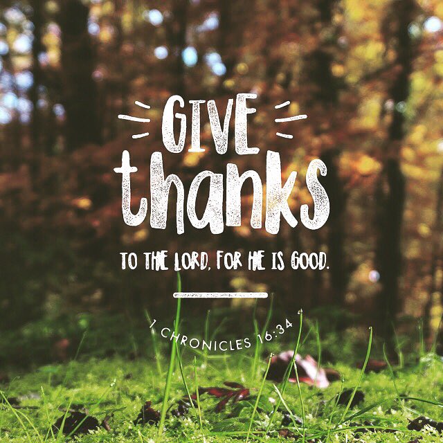unbridledmovie's tweet photo. Life can stink sometimes.But no matter what,there's always something to be thankful for? What are you thankful for? https://t.co/RYp8gnlLcT