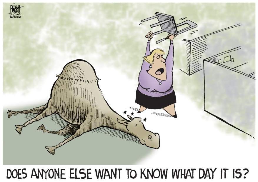 Image result for hump day drink