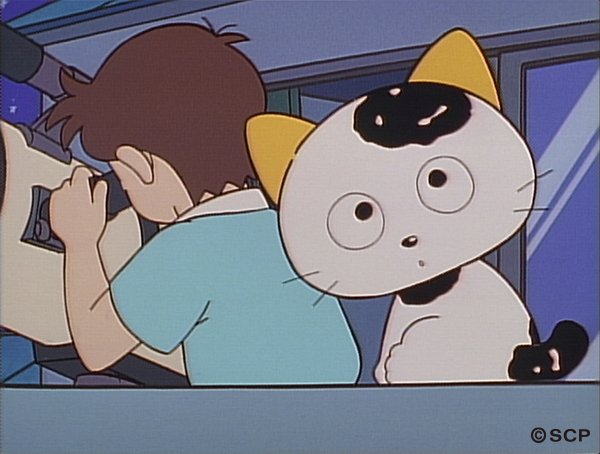 今日は七夕。今年は織姫と彦星は会えるのかなあ・・・？ 3丁目のタマ