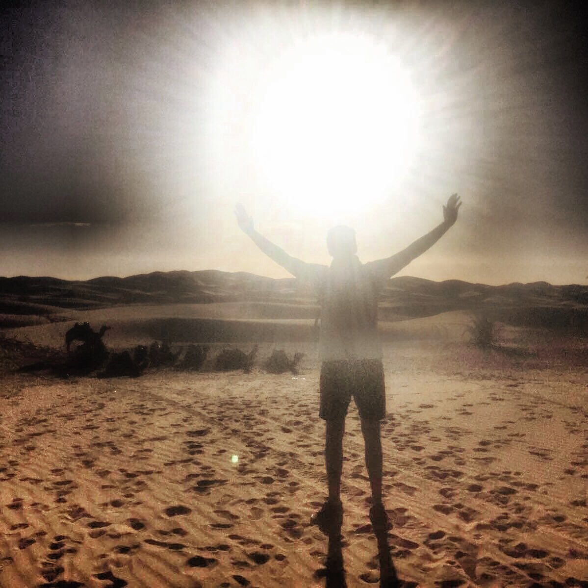 elimabat's tweet photo. Sunset #igers #trip #travel #travelblogger #sunset #sunsetdesert https://t.co/OuI4w44dra