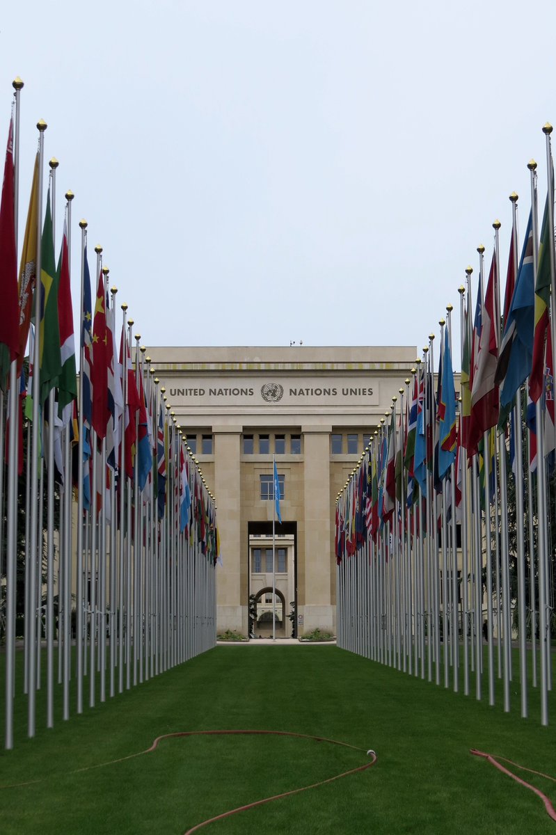 BudgetTravBabe's tweet photo. NEW POST: Local guide for visitors to #Geneva #Switzerland by guest writer @gobeyondbounds https://t.co/W7nBQqsenQ https://t.co/5kadiDSOPy