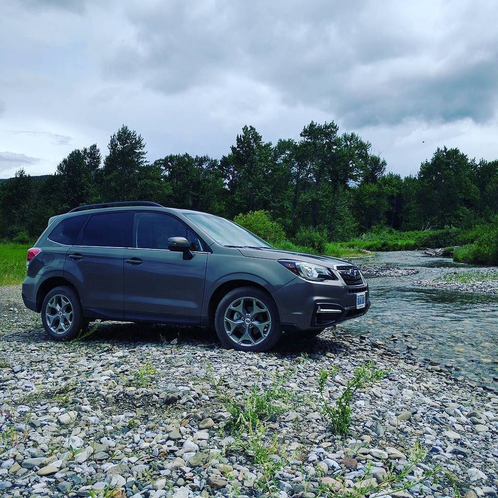 AutoGuide's tweet photo. King of the Forest-er... #2017Forester #Subaru https://t.co/GkhTUcpm9h https://t.co/6yuMQieRIQ