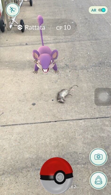 Pokemon go is so real