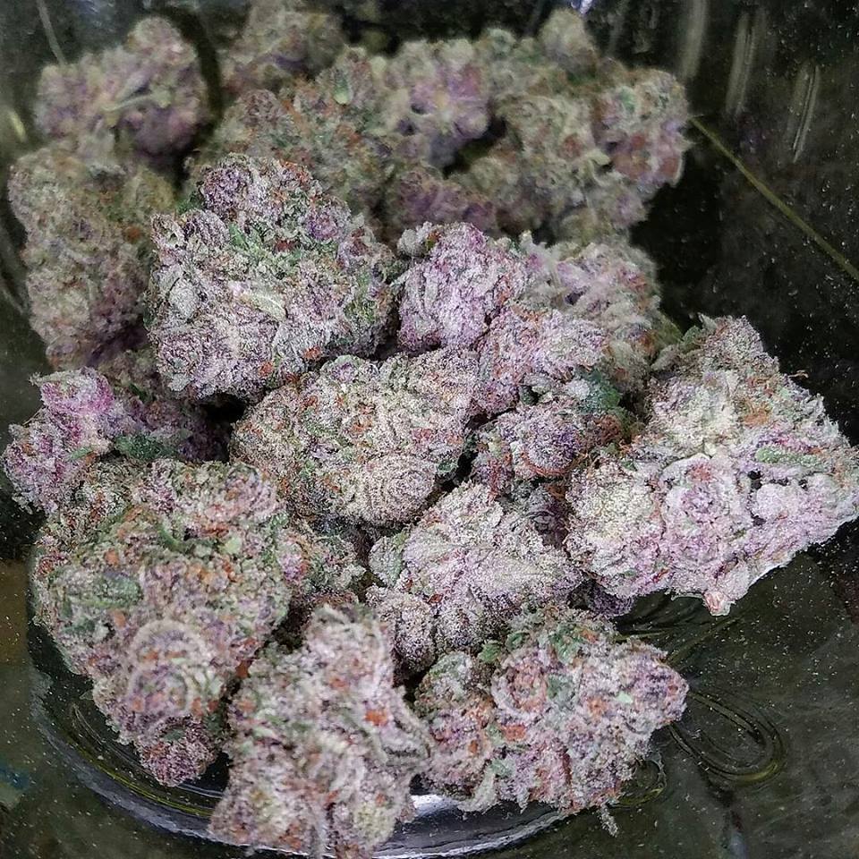 NikkiONtheOcean's tweet photo. Delicious #BUD #purple #TheBomb #Dablicious #dab @HIGH_TIMES_Mag @420 @AuntieDolores @MyWeedSeedsNo1 @MarijuanaPosts https://t.co/kHQCTUsZtP