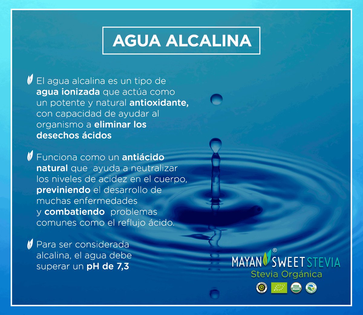 MayanStevia's tweet photo. Conoce los beneficios de consumir agua alcalina https://t.co/slaXT98bv8