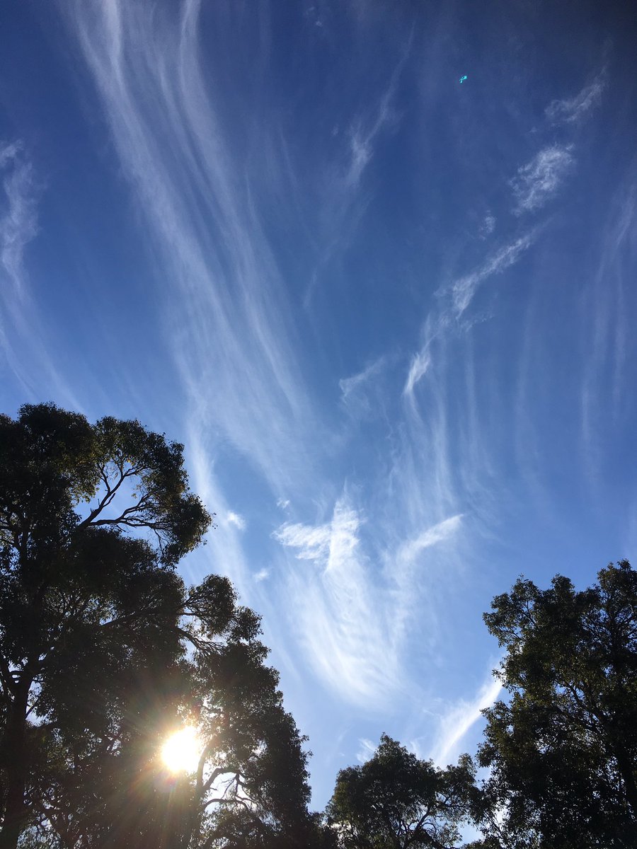 beata_mounsey's tweet photo. @MORECAST_Au @CloudAppSoc @Weather_Beauty @TheWAWG @jr_the_ferret @Keshanya003 @uSnapt 
6/7/16 https://t.co/M4E8n72ac8