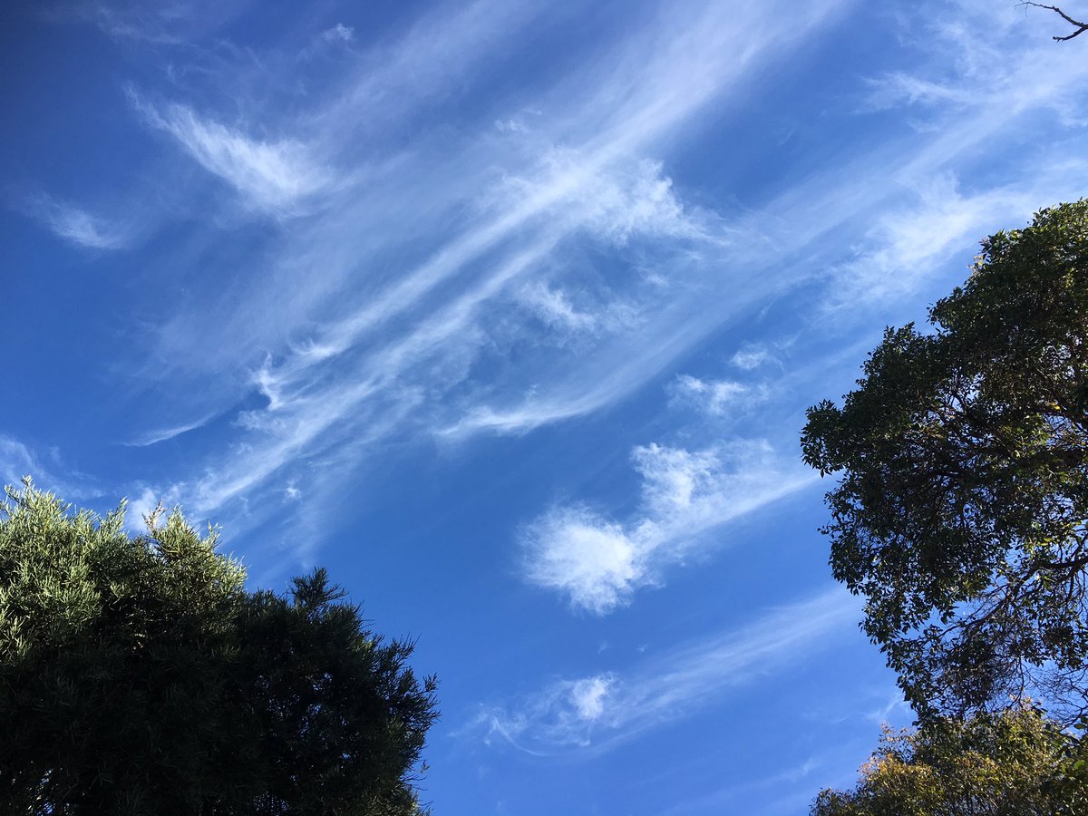 beata_mounsey's tweet photo. @MORECAST_Au @CloudAppSoc @Weather_Beauty @TheWAWG @jr_the_ferret @Keshanya003 @uSnapt 
6/7/16 https://t.co/M4E8n72ac8