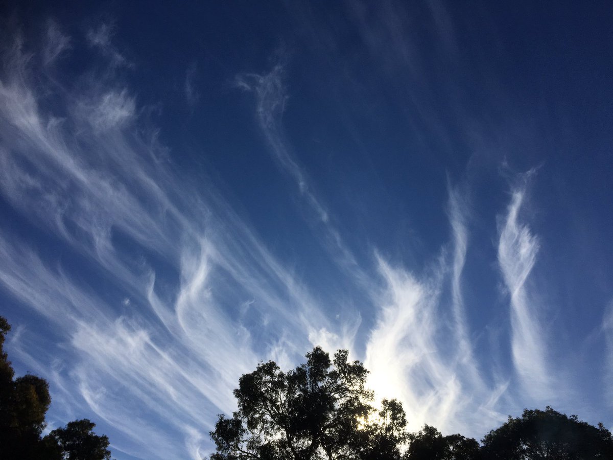 beata_mounsey's tweet photo. @MORECAST_Au @CloudAppSoc @Weather_Beauty @TheWAWG @jr_the_ferret @Keshanya003 @uSnapt 
6/7/16 https://t.co/M4E8n72ac8