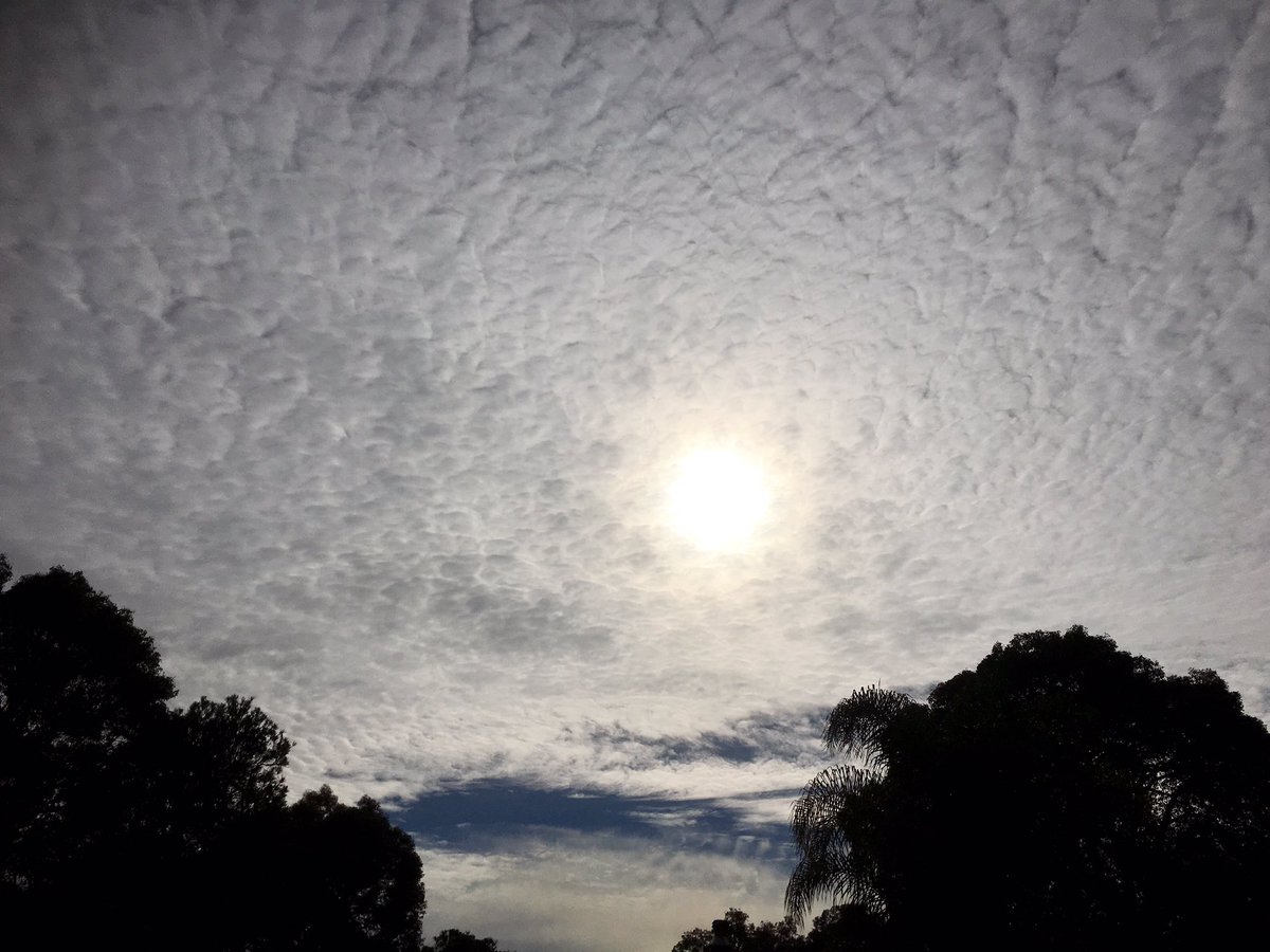 beata_mounsey's tweet photo. @jr_the_ferret @BunburyWeather @MORECAST_Au @CloudAppSoc @Weather_Beauty @TheWAWG @AustraliasSW @uSnapt @ashleaeve https://t.co/kJpVqB087P