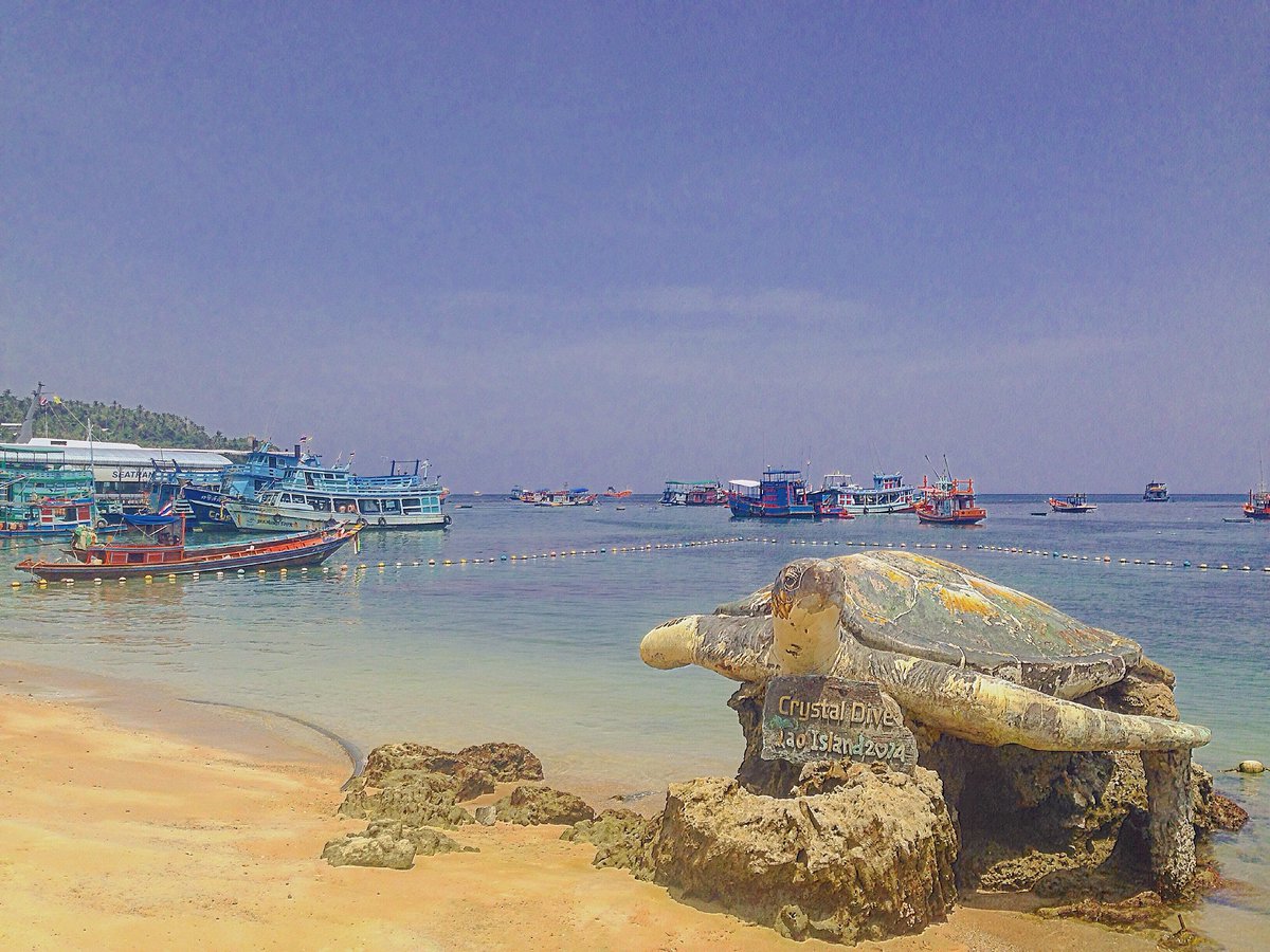 The BGs trip tweet media