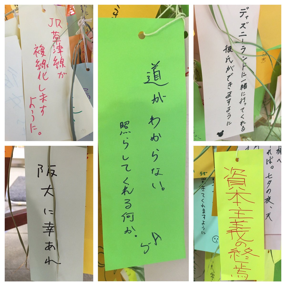 京大の短冊がマジでカオスw天才たちの心の闇が深すぎて草 話題の画像プラス 京大の短冊がマジでカオスw天才たちの心の闇が深すぎて草 話題の画像プラス