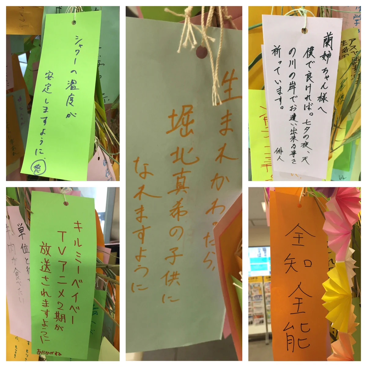 京大の短冊がマジでカオスｗ天才たちの心の闇が深すぎて草ｗｗｗ
