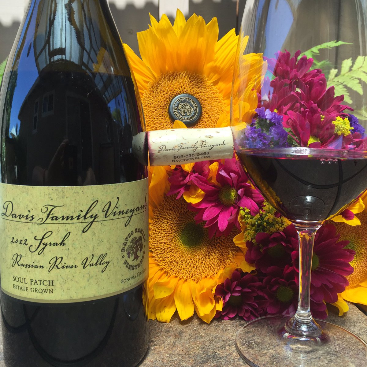 _drazzari's tweet photo. #WIYG #SonomaChat @DavisWines #syrah #RRV #SonomaCounty gift from @jolenespatter #SoulPatch @amylieberfarb https://t.co/HQfgAP0hbZ