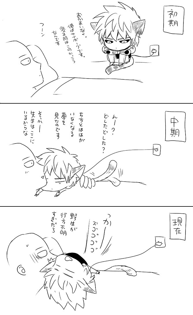 猫弟子の就寝時 