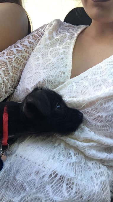 Watch Shelby's leaked NSFW photo on TwXstars